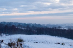 snow-in-the-woods-2