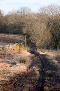 sun-on-the-moors-5