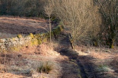 sun-on-the-moors-5