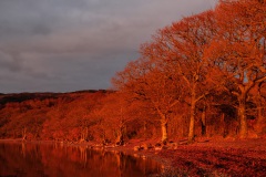 Sunset at Milarrochy Bay