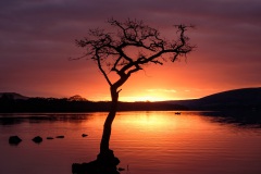 Sunset at Milarrochy Bay