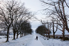 winter-wonderland-1