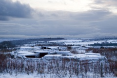 winter-wonderland-6