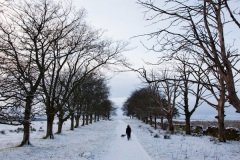 winter-wonderland-1